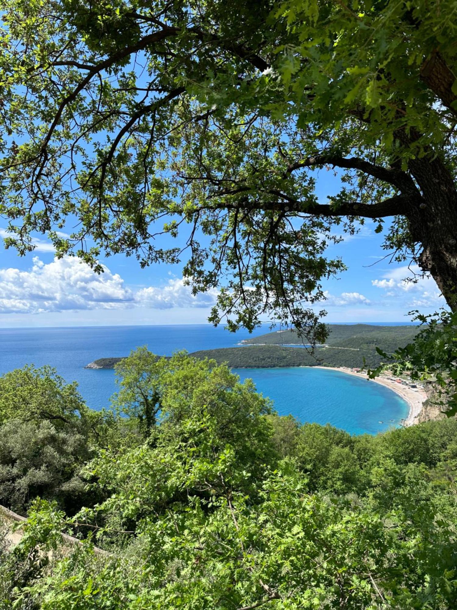 Seoce Budva